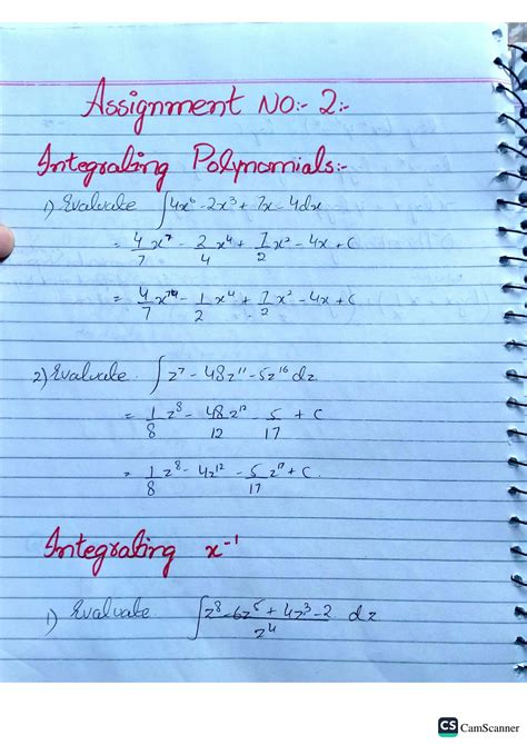 Image result for Simple Integration Questions