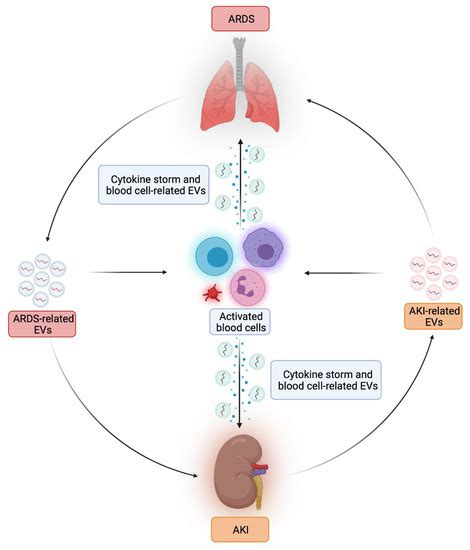 Biomedicines | Special Issue : Bacterial and Viral Infection and Sepsis ...