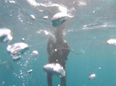 Fish jumped out of water into man's throat, wiggled down his windpipe ...