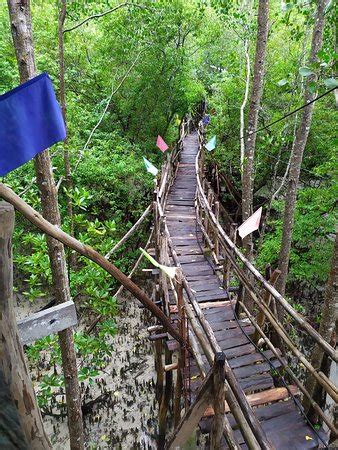 Guiwanon Spring Park (Siquijor Island) - 2021 What to Know Before You ...