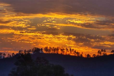 THE BURANSH (Kausani, Uttarakhand) - Hotel Reviews, Photos, Rate ...