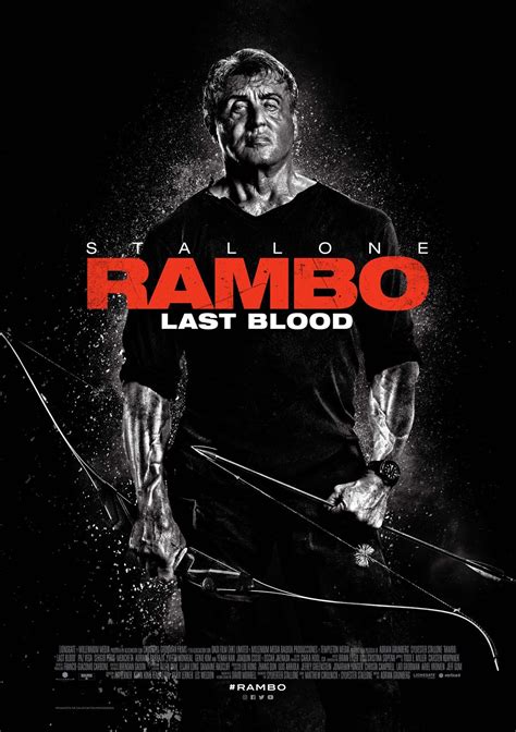 Ver Rambo: Last Blood online - SensaCine.com