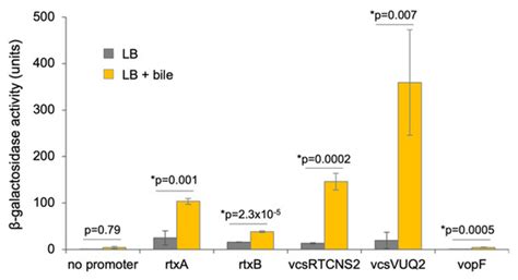 Antagonistic Effects of Actin-Specific Toxins on Salmonella Typhimurium ...