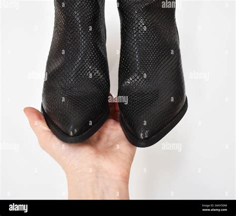 black womens dress shoes white background stock photo elegant footwear ...