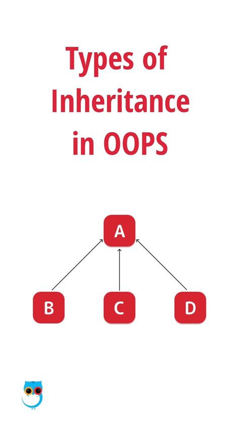 Image result for What Is Object-Oriented Principles Inheritance Diagrams Use Animals Examples