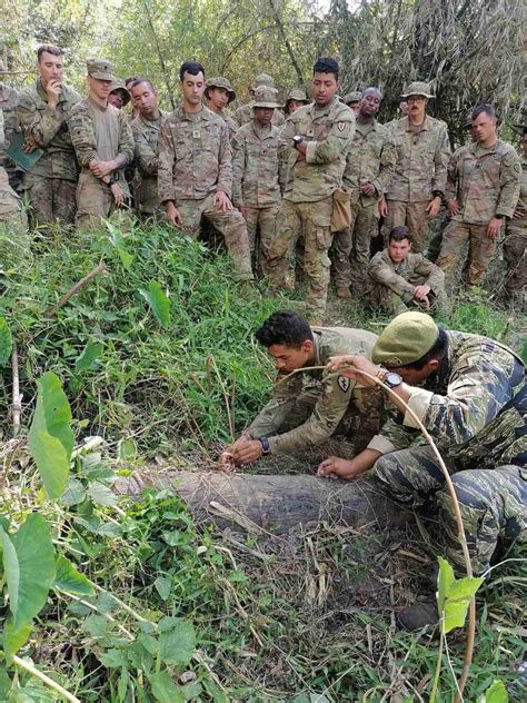 Army Special Forces Physical Requirements at Freddie Johson blog