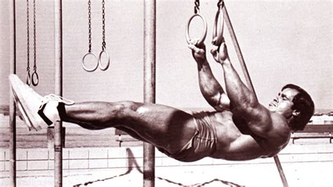 Image result for Front Lever Muscles
