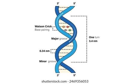 Image result for DNA Microarray Device