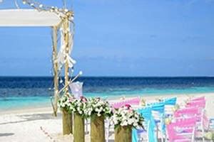 Top 74 Wedding Planners in [LOCATION]:Check Price & Info Near You!