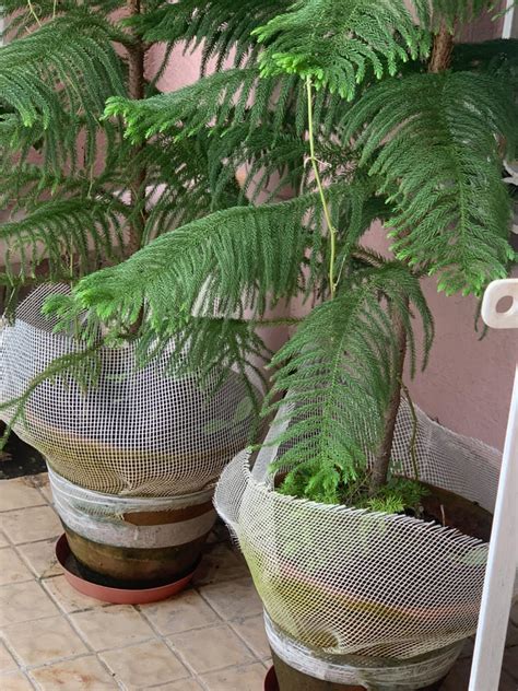 Megazone Fiber Mesh Glass Coated Roll 45 Gsm for Waterproofing, Roof ...