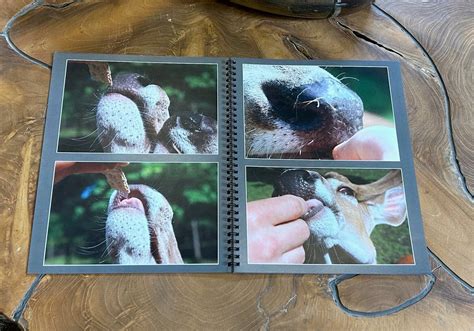 Champions Choice – Joe Coombs Classics, Inc.