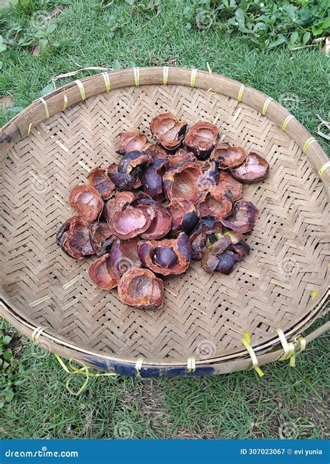 Benefits of Mangosteen Peel Stock Image - Image of dried, good: 307023067