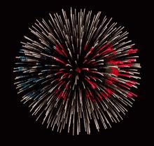 Fireworks Animation Gif GIFs | Tenor