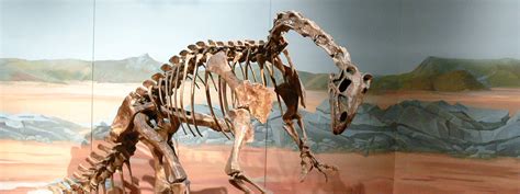 This digital dinosaur brain has some “quite surprising” insights