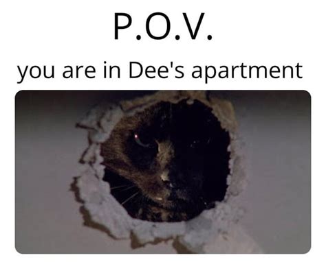 Image result for Now Talking My Language