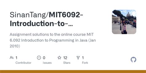 MIT Coding Java 的图像结果