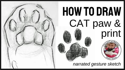 Draw Cat Paws Tutorial 的图像结果
