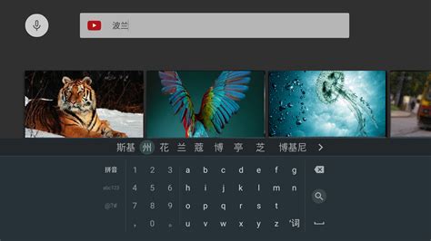 How to use Google Pinyin Input keyboard with YouTube | Sony IN