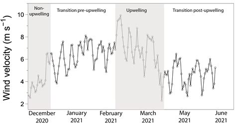 Seasonal Upwelling Conditions Modulate the Calcification Response of a ...