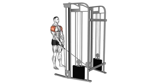 Exercises Using Cables 的图像结果