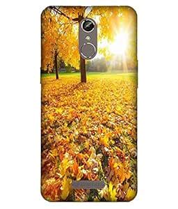 WinChip Designer Colorful Foliage in The Autumn Printed Hard Back Cover ...
