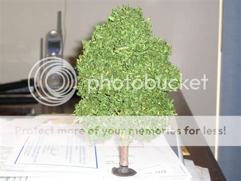 Making Realistic Model Fir Trees 的图像结果