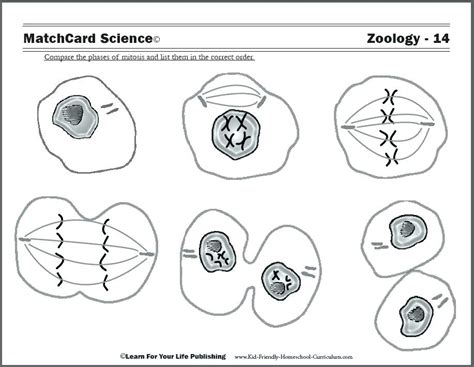 Biology Coloring Pages 的图像结果