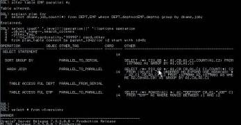 Parallel Query in Oracle 的图像结果