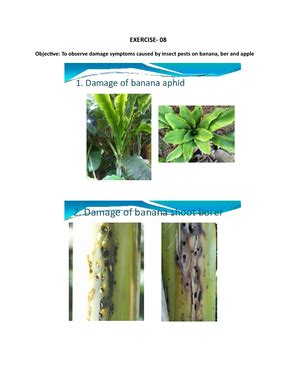 ENT518 Practical Exercise 05 - EXERCISE- 05 Objective: To observe ...