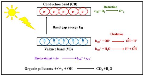 Recent Progress in Photocatalytic Removal of Environmental Pollution ...