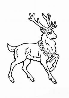 ausmalbilder rentier zum ausdrucken ausmalbilder kostenlos weihnachten 7 ausmalbilder kostenlos ausmalbilder rentier zum ausdrucken ausmalbilder kostenlos weihnachten 7 ausmalbilder kostenlos