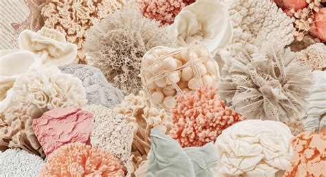 Cultural Services → Term