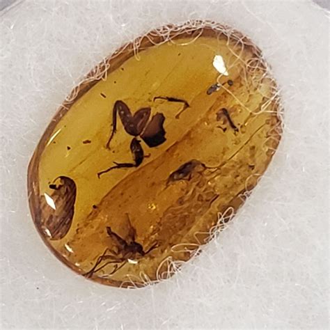 Treasures of the Earth Gem, Mineral & Jewelry Show, Virginia Beach ...