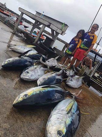 Marlin Queen Fishing Charters (Rarotonga) - 2020 What to Know Before ...