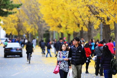 南京大学：2022出国留学UFP课程班 - 知乎