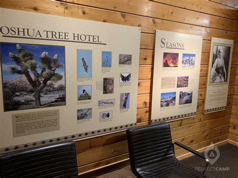 Black Rock Canyon Campground, Joshua Tree National Park, CA - Latest ...