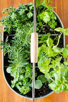 Herb Container Garden by Beautiful Container Herb Gardens Herb Container Garden
