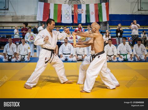 Martial Art Instructor Image & Photo (Free Trial) | Bigstock