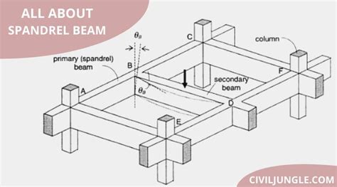 Image result for Animal Image Classification Model Training Process
