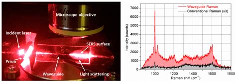 Waveguiding and SERS Simplified Raman Spectroscopy on Biological Samples