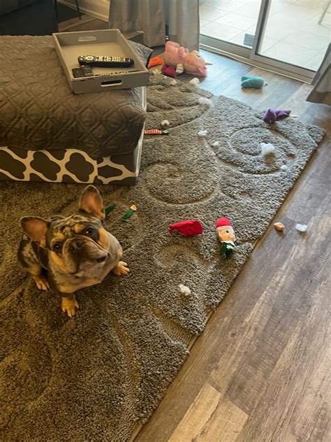 Let’s talk keyboards. Do you prefer wireless? Anyone using a mechanical ...