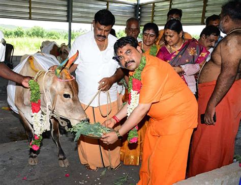 Gau Puja - Brindhavan Gaushala Foundation