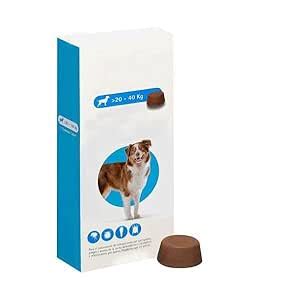 Dog Flea and Tick Treatment Tablet for Large Dogs, 20-40 kg : Amazon.in ...