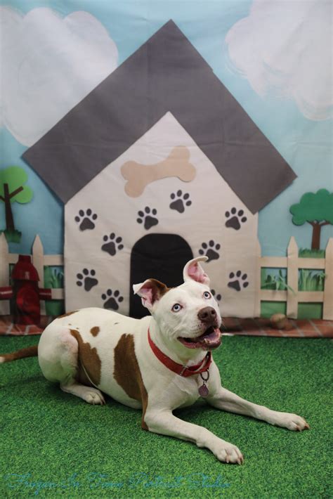 Better with Age - Ark-Valley Humane Society