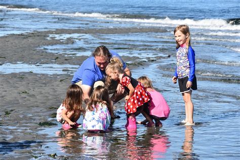 CANCELLED - Fox Island Sand Spit Low Tide Walk, Demolay Nature Preserve ...