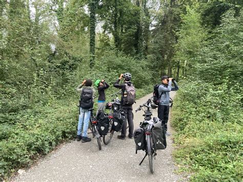 Erfolgreiches Birdrace für Natrix-Teams! – Jugendgruppe Natrix
