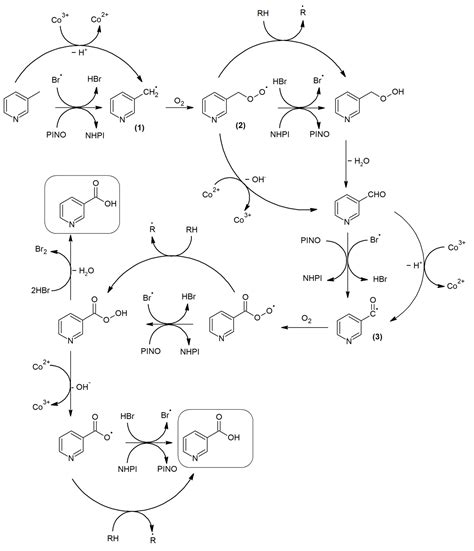 Oxidation of Picoline with Oxygen to Nicotinic Acid against Co2+, NHPI ...