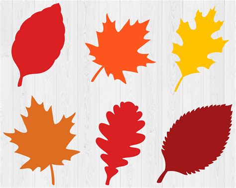 Fall Leaves Svg Bundle, Printable, Fall Svg, Thanksgiving Svg, Autumn Svg, Silhouette, Fall Leaf ...