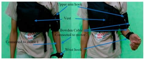 Soft Exoskeletons: Development, Requirements, and Challenges of the ...
