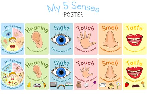 Printable 5 Senses
